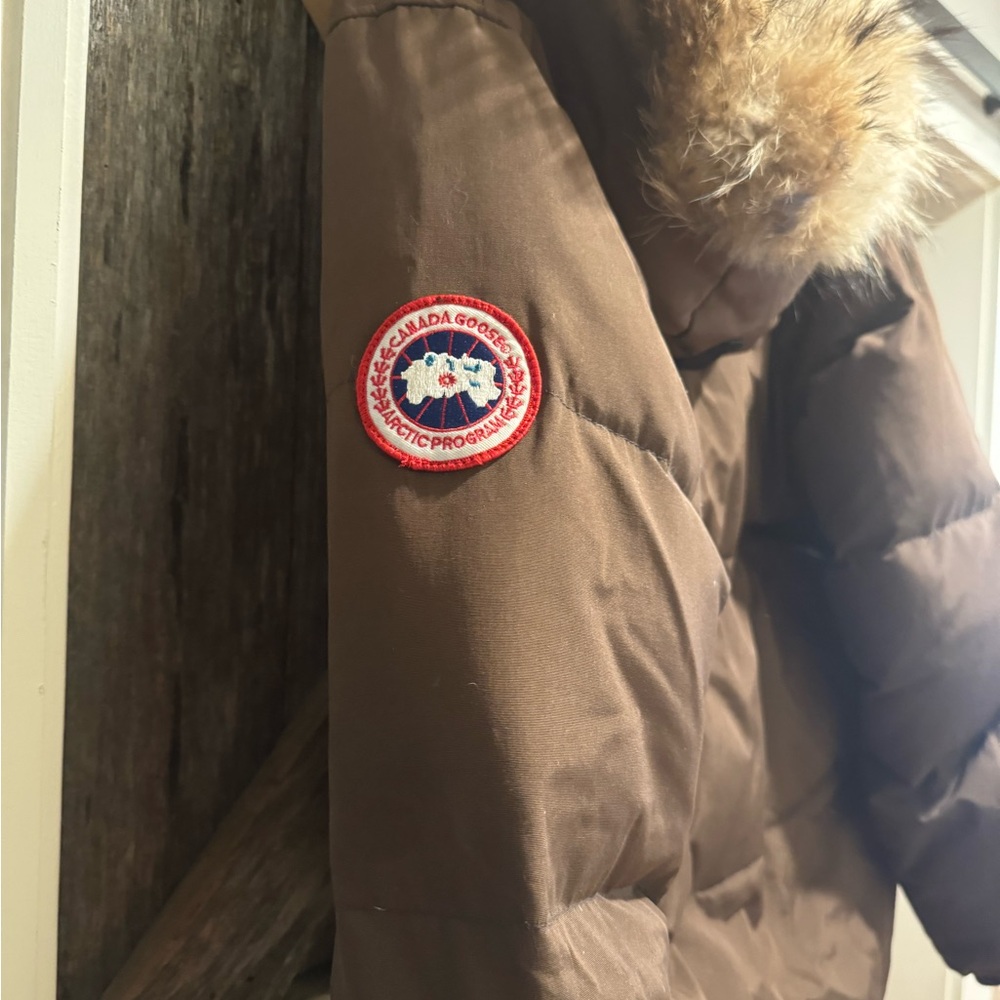 Canadian Goose Size Medium l